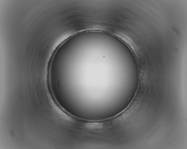 X0000112071135200908111427