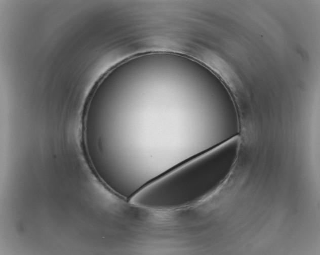 X0000112071136200908111427