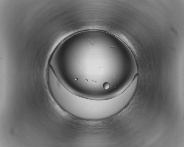 X0000112071140200908111427