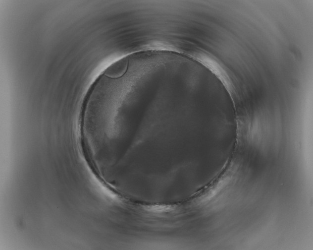 X0000112071141200908111427