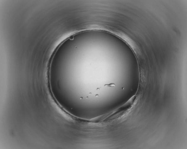 X0000112071142200908111427