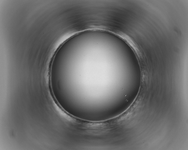 X0000112071143200908111427