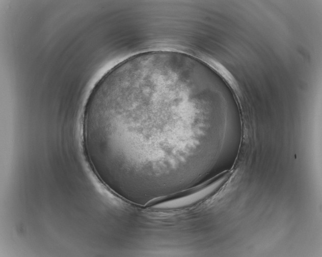 X0000112071144200908111427