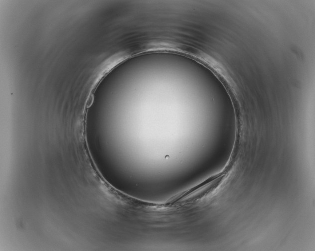 X0000112071145200908111427