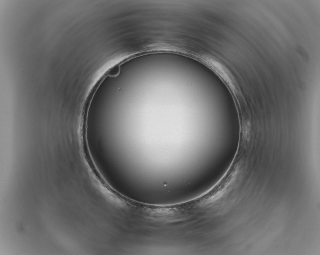 X0000112071149200908111427