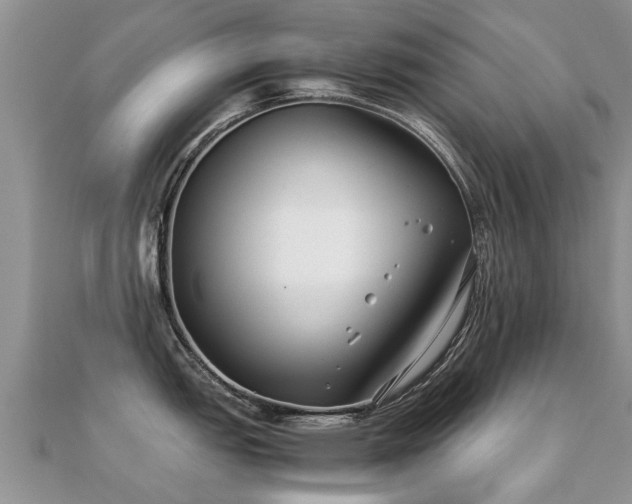 X0000112071151200908111427