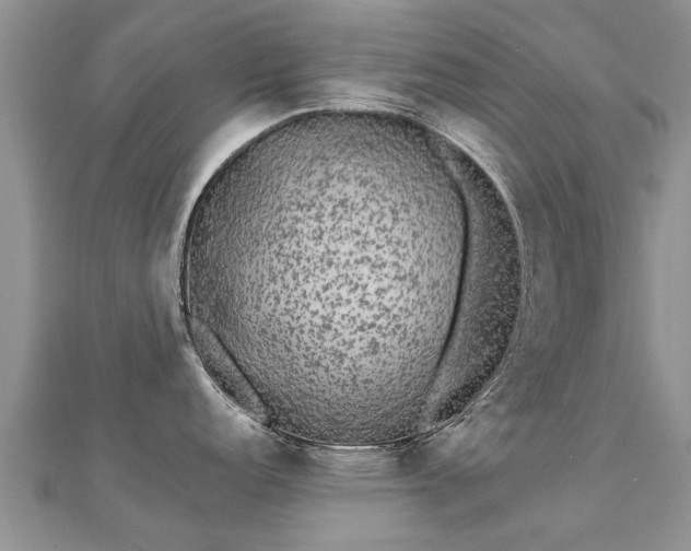 X0000112071152200908111427