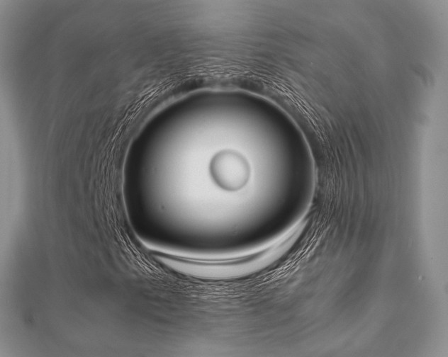 X0000112071153200908111427