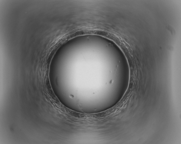 X0000112071157200908111427