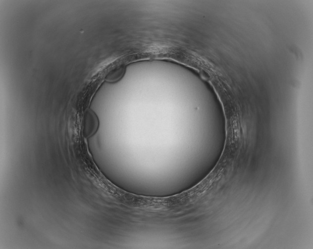 X0000112071158200908111427