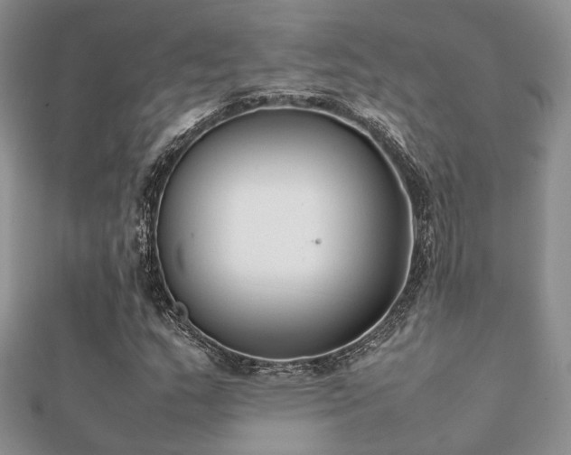 X0000112071159200908111427