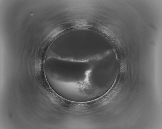 X0000112071161200908111427