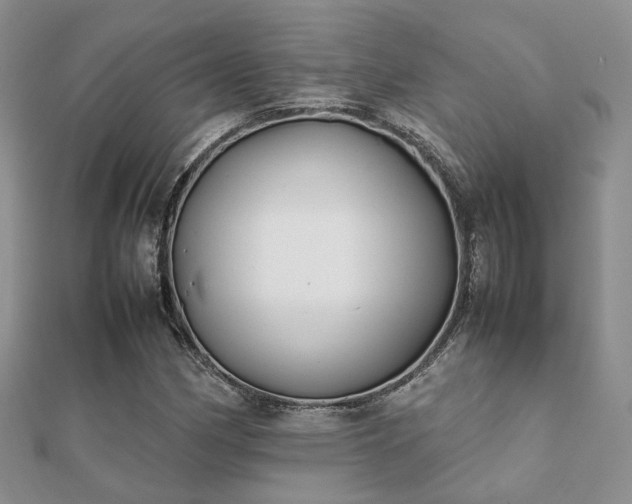 X0000112071162200908111427