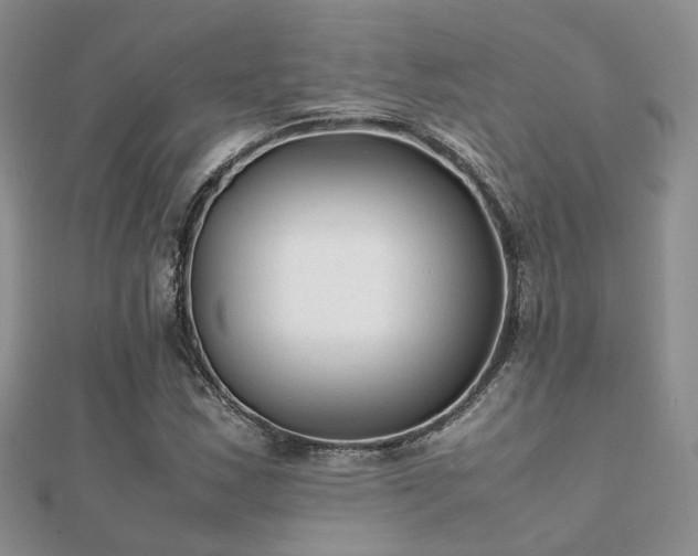 X0000112071163200908111427