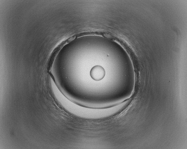 X0000112071165200908111426