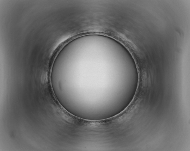 X0000112071166200908111426