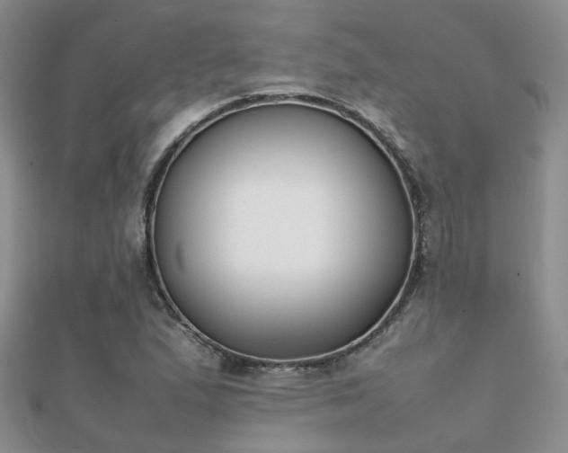 X0000112071167200908111426