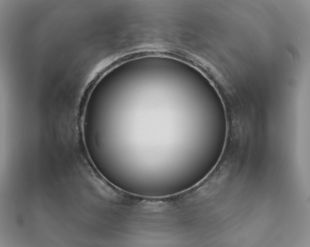 X0000112071168200908111426