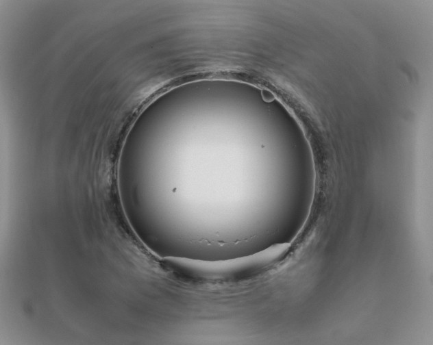 X0000112071169200908111426