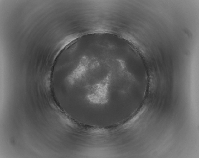 X0000112071170200908111426