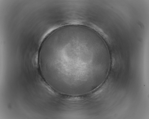 X0000112071174200908111426