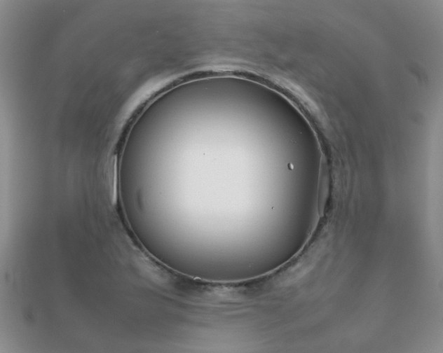 X0000112071175200908111426