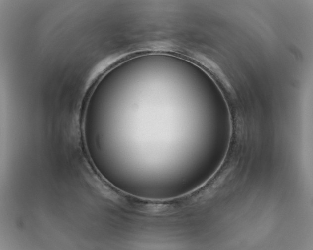 X0000112071176200908111426