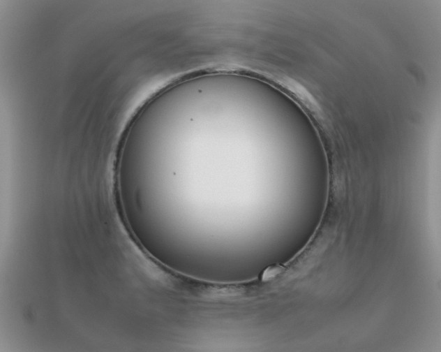 X0000112071183200908111426