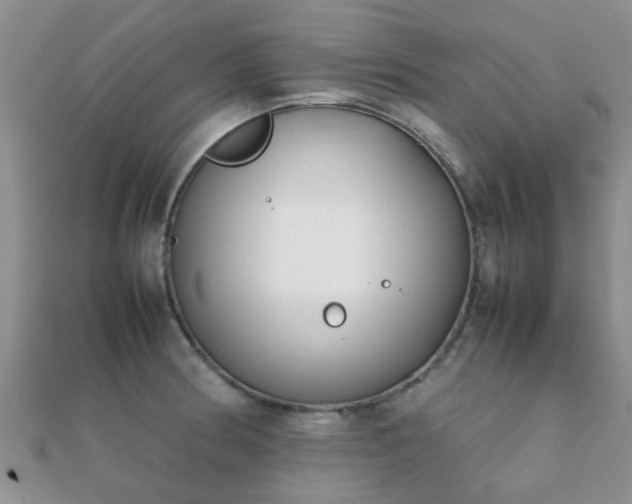 X0000112071186200908111426