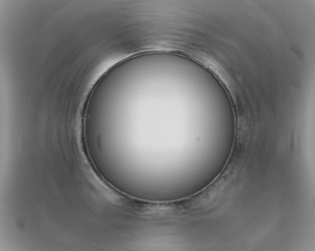 X0000112071187200908111426