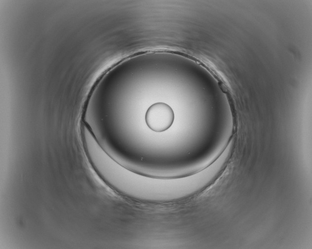 X0000112071189200908111426