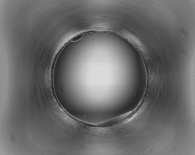 X0000112071192200908111426