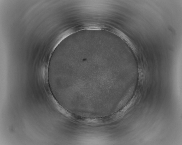 X0000112071194200908111426