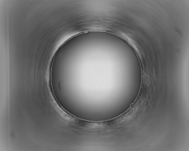 X0000112071195200908111426