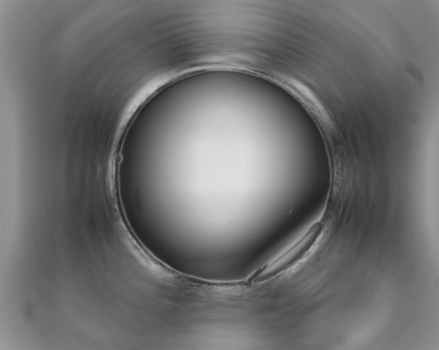 X0000112071196200908111426