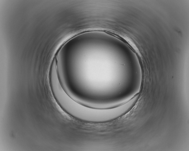 X0000112071197200908111426