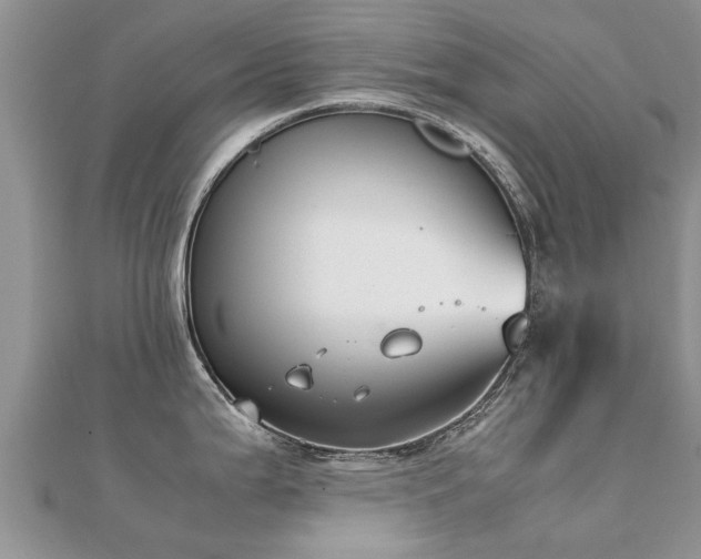 X0000112071199200908111426