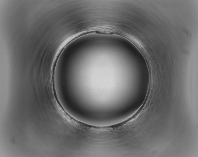 X0000112071200200908111426