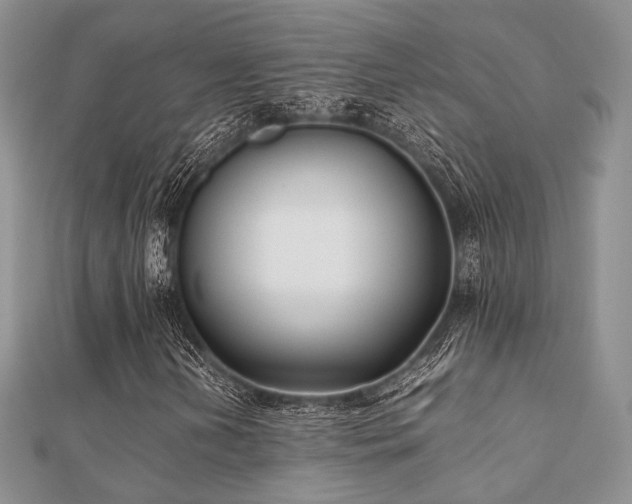 X0000112071202200908111425