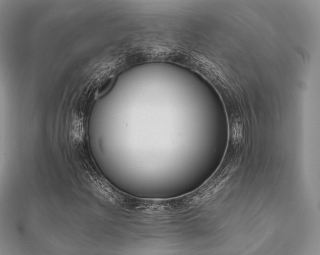 X0000112071204200908111425