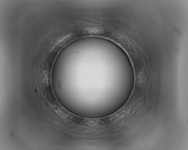 X0000112071205200908111425