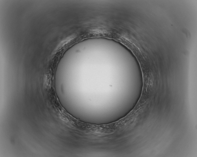 X0000112071207200908111426