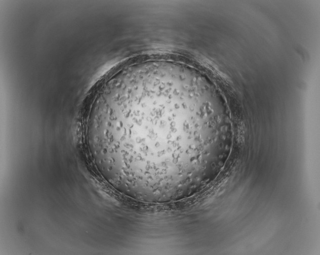 X0000112071208200908111426
