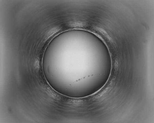 X0000112071209200908111426