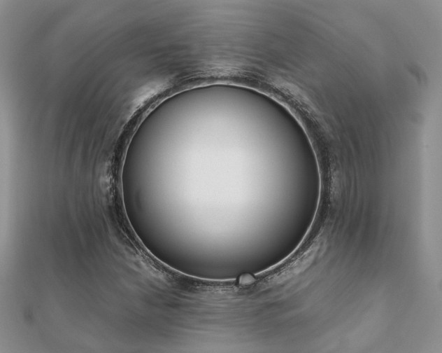 X0000112071210200908111426