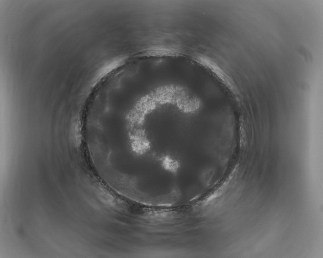 X0000112071213200908111426