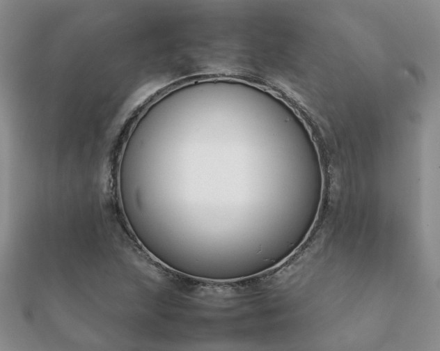 X0000112071215200908111426