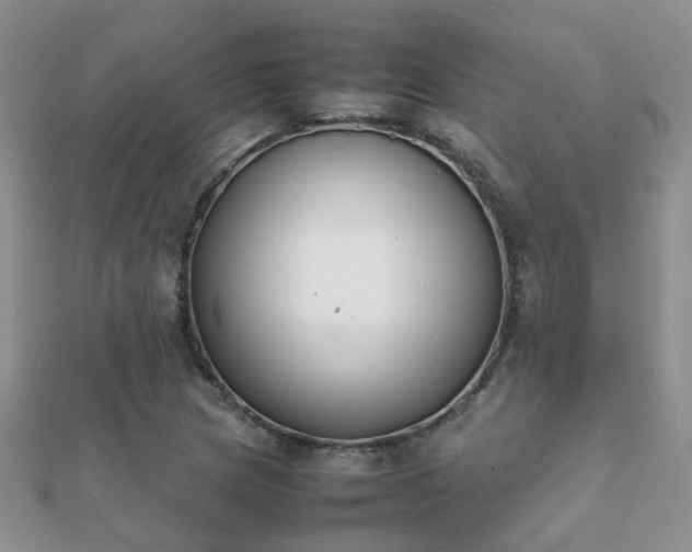 X0000112071217200908111426