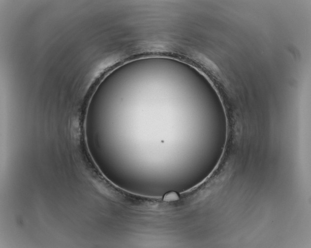 X0000112071218200908111426