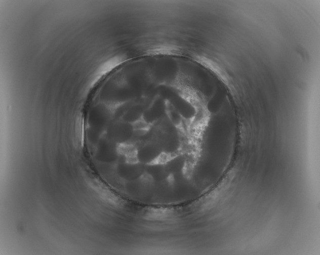 X0000112071219200908111426